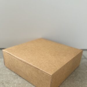 Ecologische taartdoos gesloten